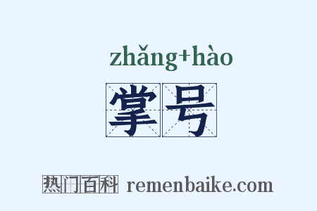 掌号是什么意思的图片